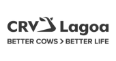 CRV Lagoa
