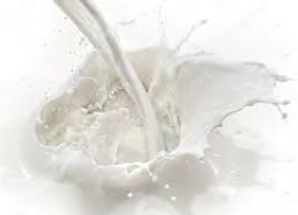 Conseleite-SC projeta alta de 21,20% no valor de referência do leite entregue em julho